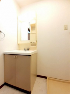 スペースが確保できる洗面所です