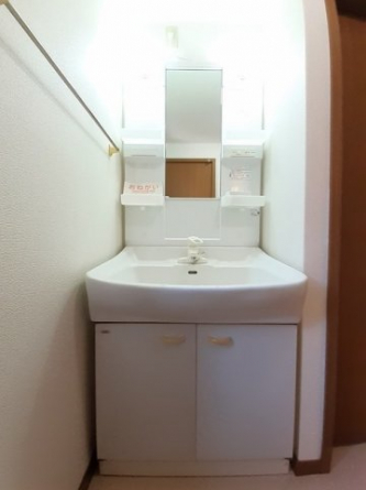 忙しい朝には欠かせない洗面所です