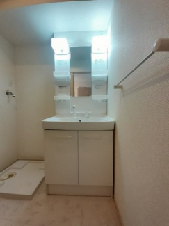 忙しい朝には欠かせない洗面所です