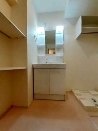 忙しい朝には欠かせない洗面所です