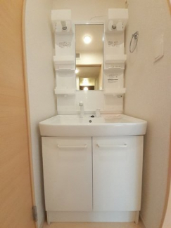 スペースが確保できる洗面所です