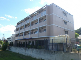 きれいな外観です