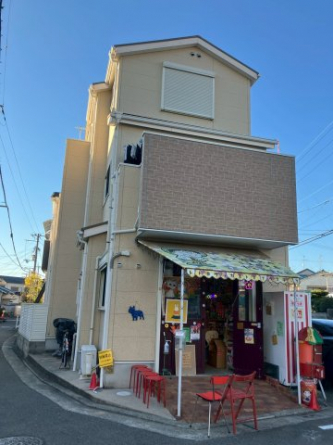 前面道路含む現地写真です