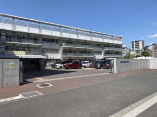 松山市立東雲小学校まで645m