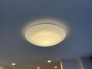 シーリングライト