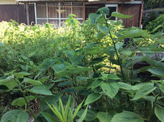 長崎県佐世保市金比良町の売地の画像