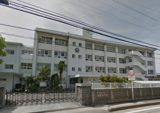 松山市立雄新中学校まで700m