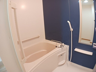 落ち着いた空間のお風呂です