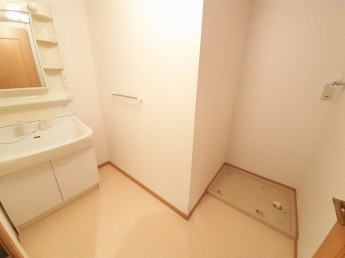 スペースが確保できる洗面所です