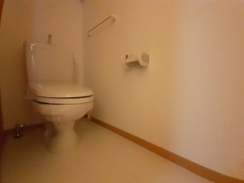 コンパクトで使いやすいトイレです