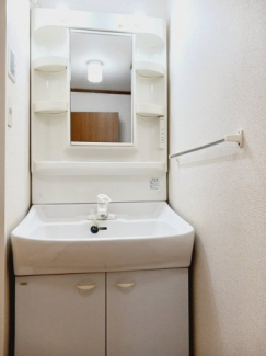 忙しい朝には欠かせない洗面所です