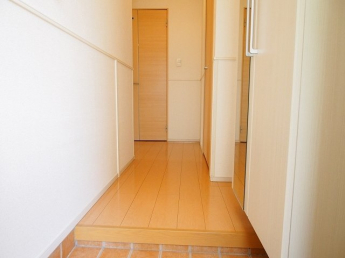 落ち着いた玄関です