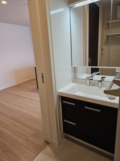 三面鏡シャワー付き洗面台です