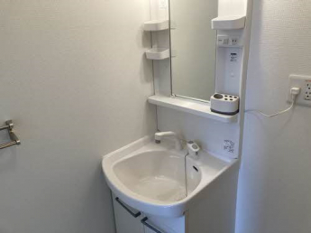 シャワー付きの洗面台です