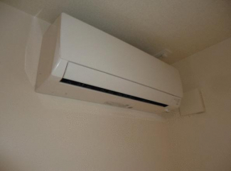 ＮＹコンフィードの画像