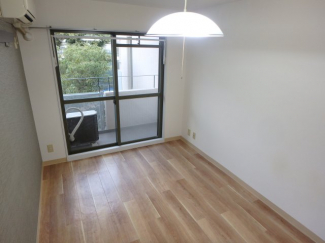 ゆったりした洋室です