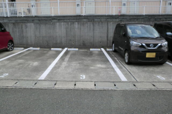 メゾネット以和貴の画像