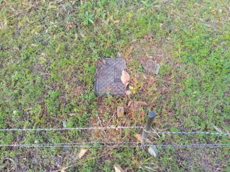 東温市樋口の売地の画像