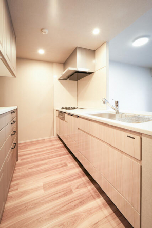 デュオヒルズ岩崎町レジデンスの画像