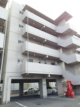 松山市空港通２丁目のマンションの画像