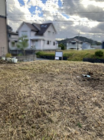 敷地奥からの見た目