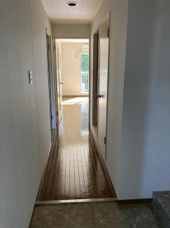 写真は別室のもの