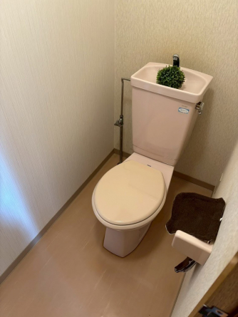 落ち着いたトイレです