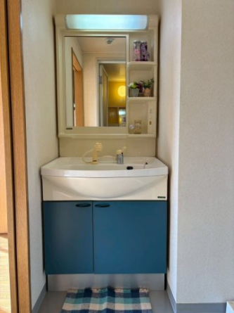 忙しい朝には欠かせない洗面所です