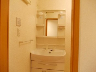 スペースが確保できる洗面所です