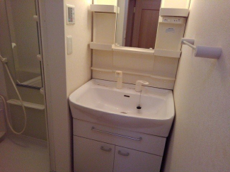 忙しい朝には欠かせない洗面所です