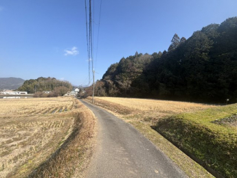 【前面道路含む現地写真】
