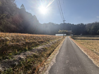 【前面道路含む現地写真】