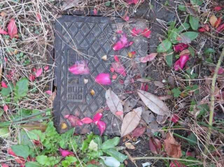 松山市土居田町の売地の画像