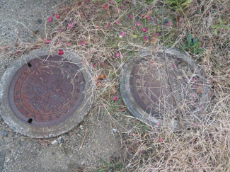 松山市土居田町の売地の画像