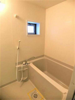 アムール・エミューの画像