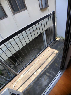 アムール・エミューの画像