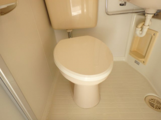 落ち着いた色調のトイレです