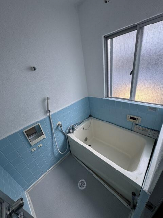 甲子園ファイブⅡの画像