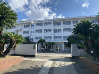 松山市立石井東小学校まで1708m