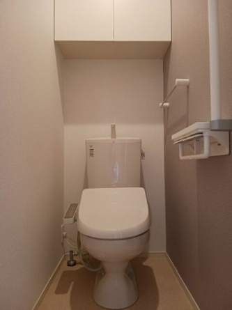 落ち着いた色調のトイレです