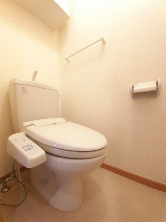 落ち着いた色調のトイレです