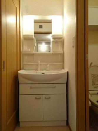 忙しい朝には欠かせない洗面所です