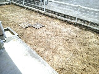 簡単な家庭菜園も楽しめるお庭です