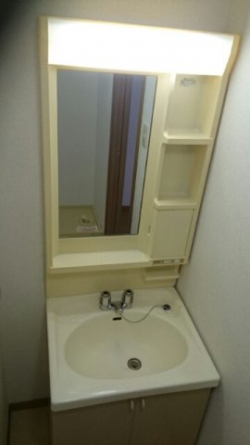 ゆったりとスペースのある洗面所