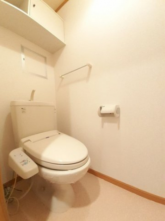 落ち着いた色調のトイレです