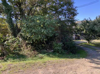 樹木は伐採します