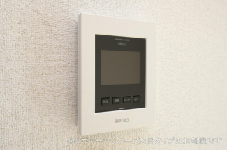 ベルハミングの画像