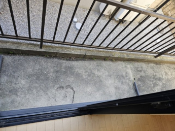 1階はテラスになっています