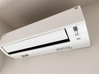 アロハ海岸通の画像