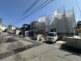 2026年04月11日撮影